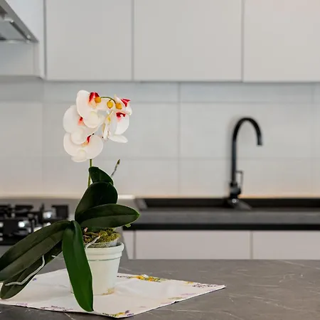 La Casa Delle Orchidee アパート *