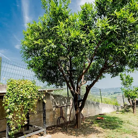 La Casa Delle Orchidee Apartamento *