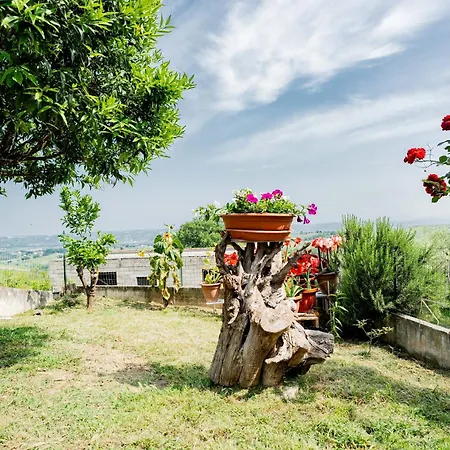 La Casa Delle Orchidee *