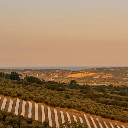 La Casa Delle Orchidee アパート