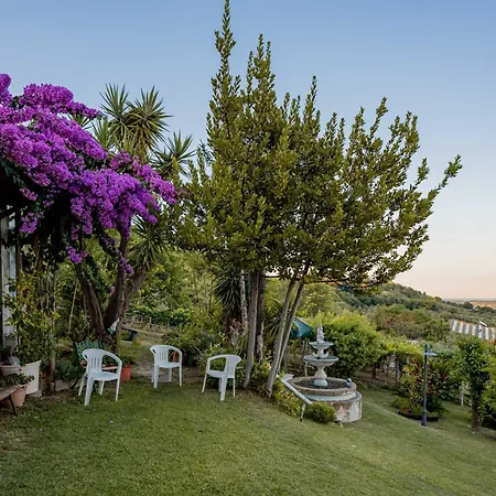 La Casa Delle Orchidee アパート Mozzagrogna