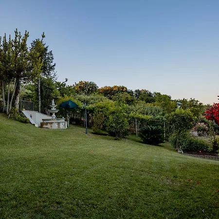 La Casa Delle Orchidee アパート Mozzagrogna