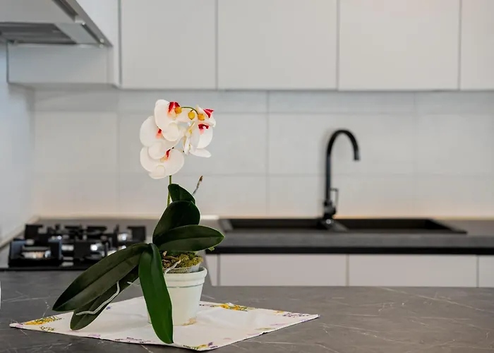 La Casa Delle Orchidee דירה *